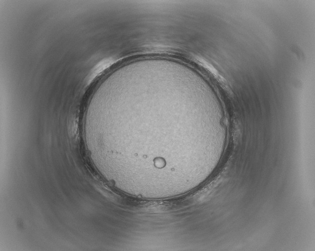 X0000115201259200911181501