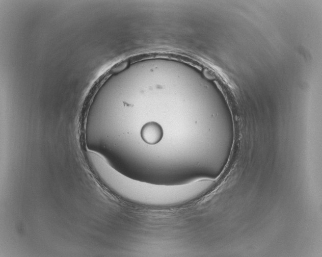 X0000115201264200911181501