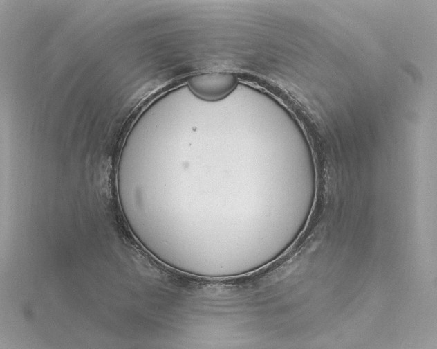 X0000115201265200911181501