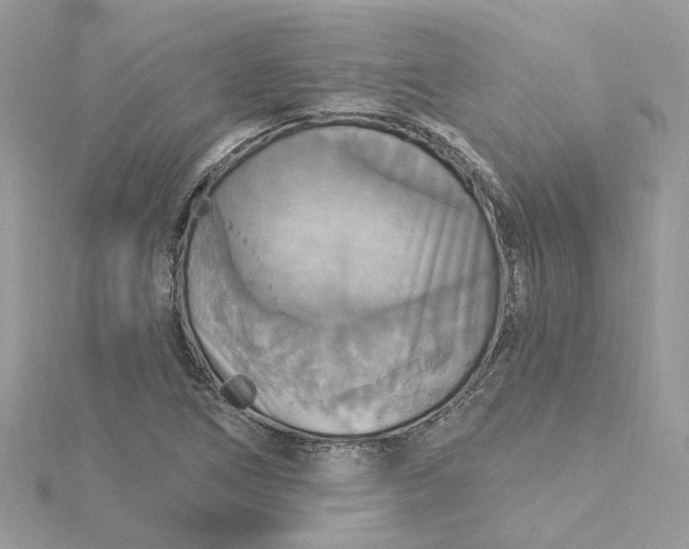 X0000115201266200911181501