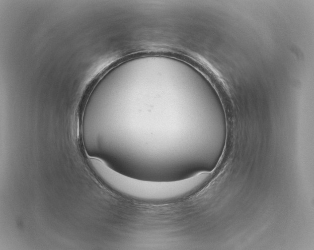 X0000115201269200911181501
