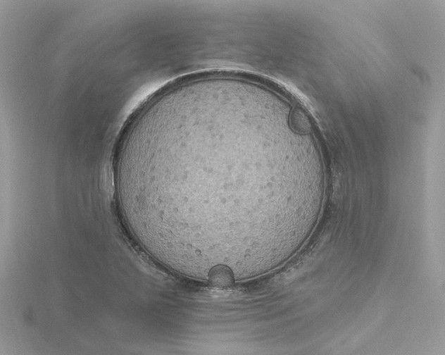 X0000115201271200911181501