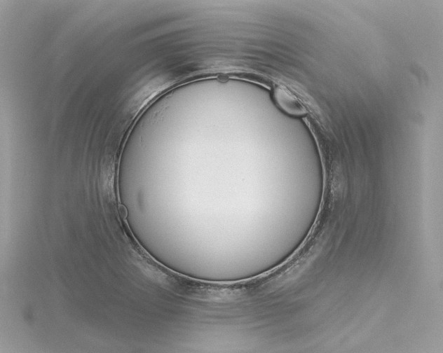 X0000115201273200911181501