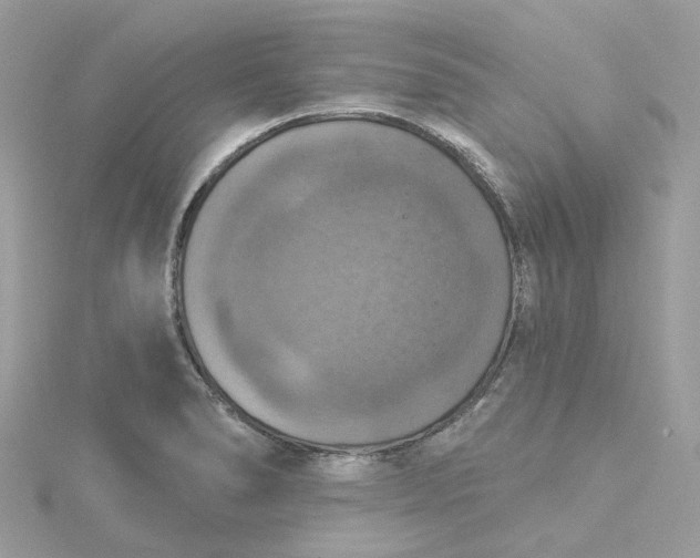 X0000115201278200911181501