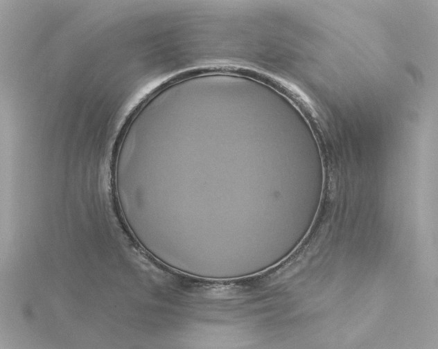 X0000115201279200911181501