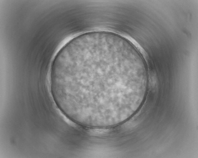 X0000115201294200911181501