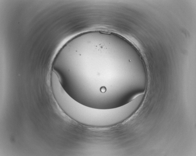 X0000115201296200911181501