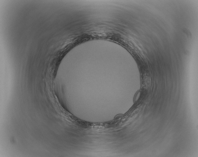 X0000115201297200911181500