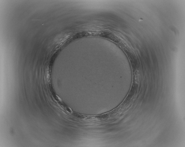 X0000115201298200911181500