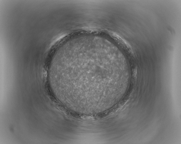X0000115201302200911181500