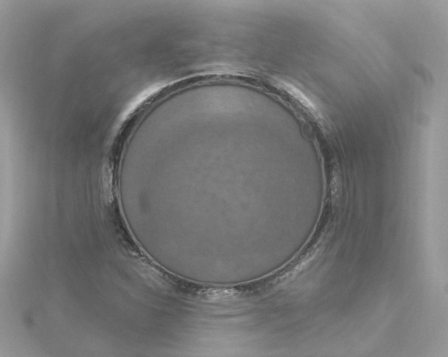 X0000115201310200911181500