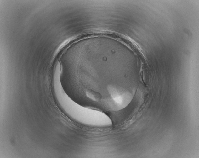 X0000115201314200911181500