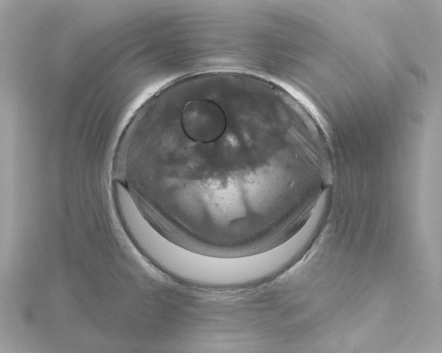 X0000115201333200911181500