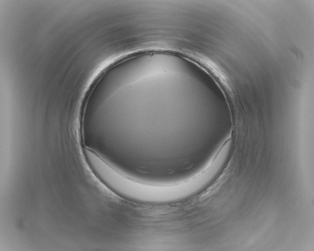 X0000115201334200911181500