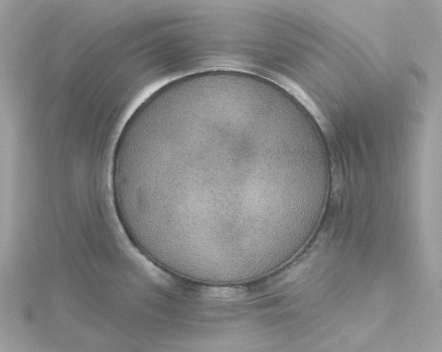 X0000115201339200911181501