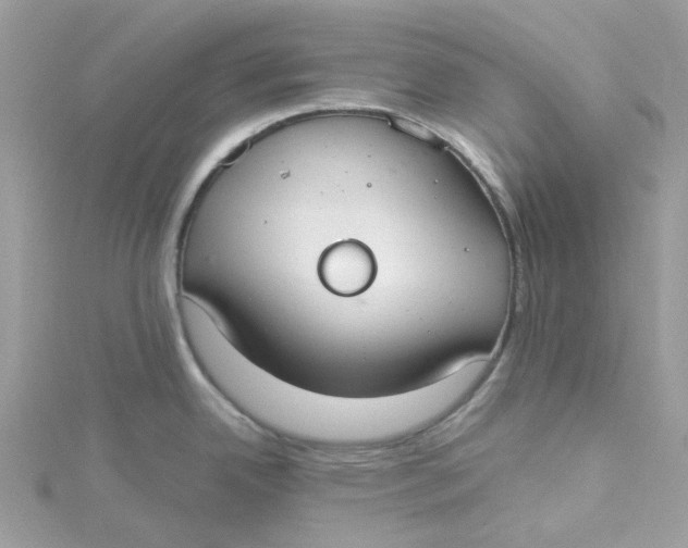 X0000115201342200911181501