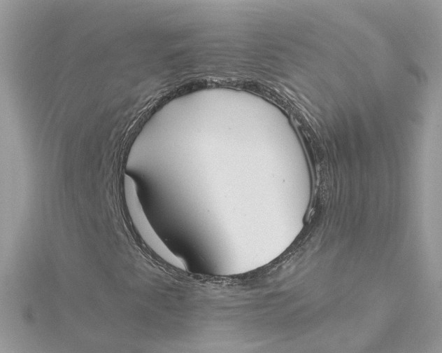 X0000115201345200911181500