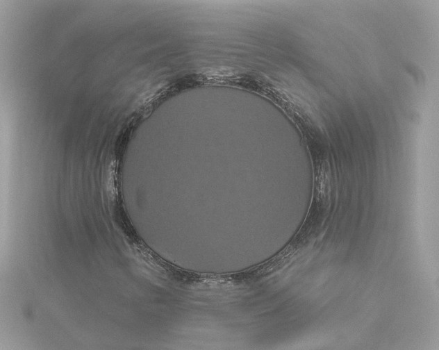 X0000115201346200911181500