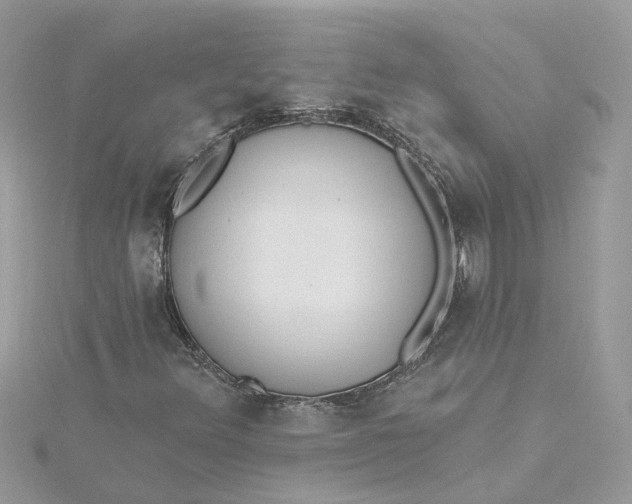 X0000115201348200911181500