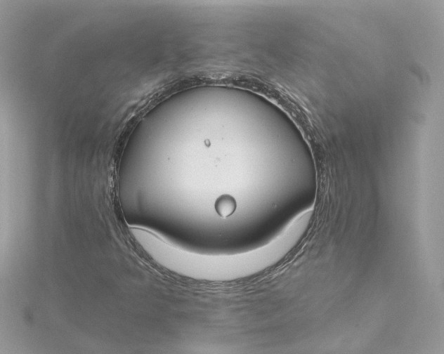 X0000115201349200911181500