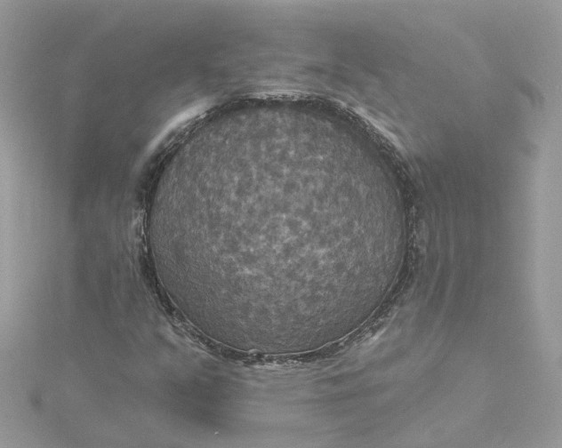 X0000115201351200911181500