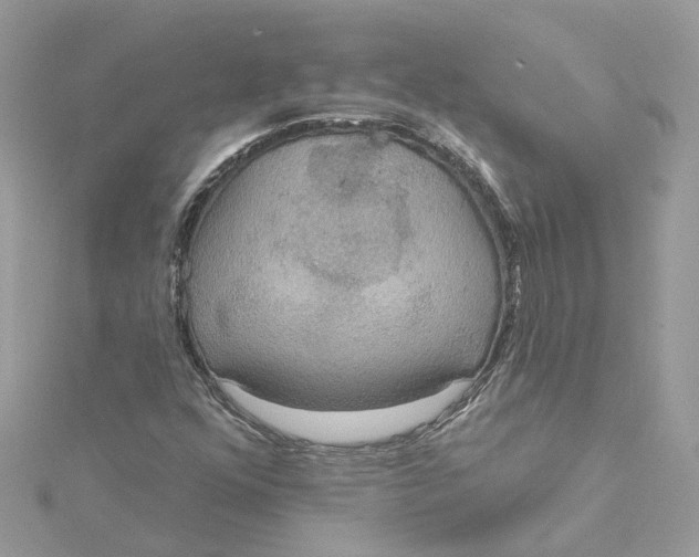 X0000115201352200911181500