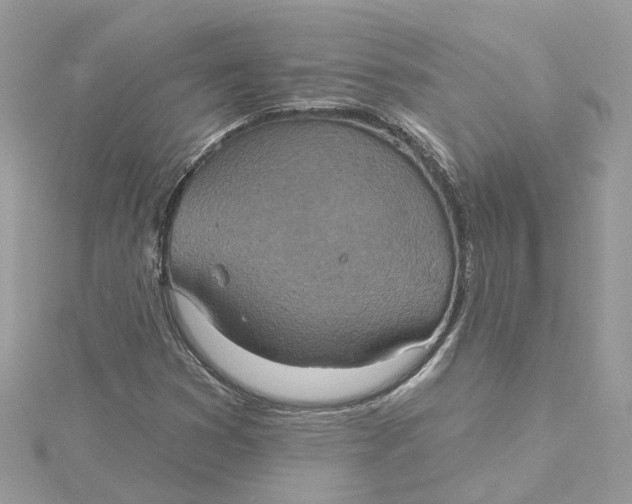X0000115201353200911181500