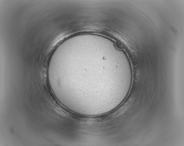 X0000115201355200911181500