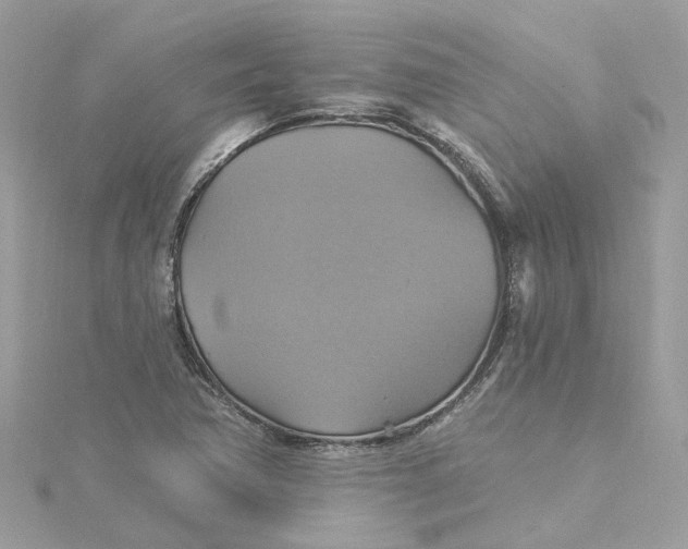 X0000115201362200911181500