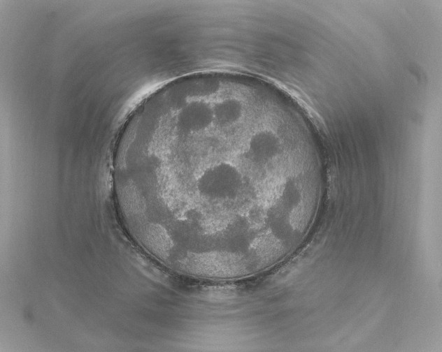 X0000115201363200911181500