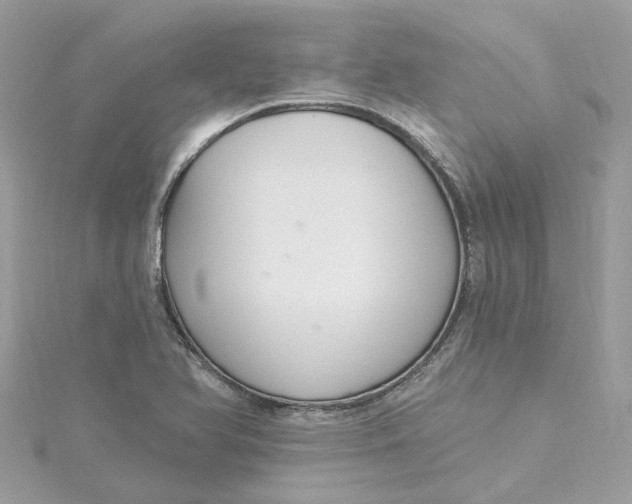 X0000115201366200911181500