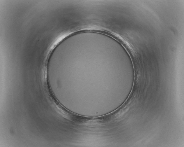 X0000115201367200911181500