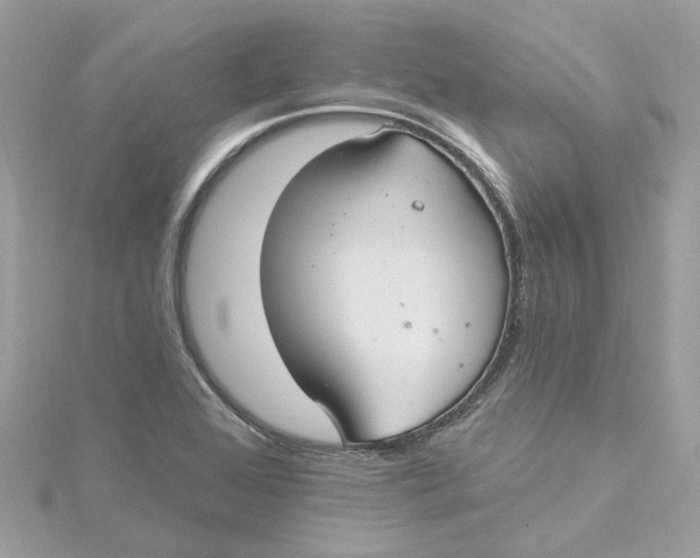 X0000115201368200911181500