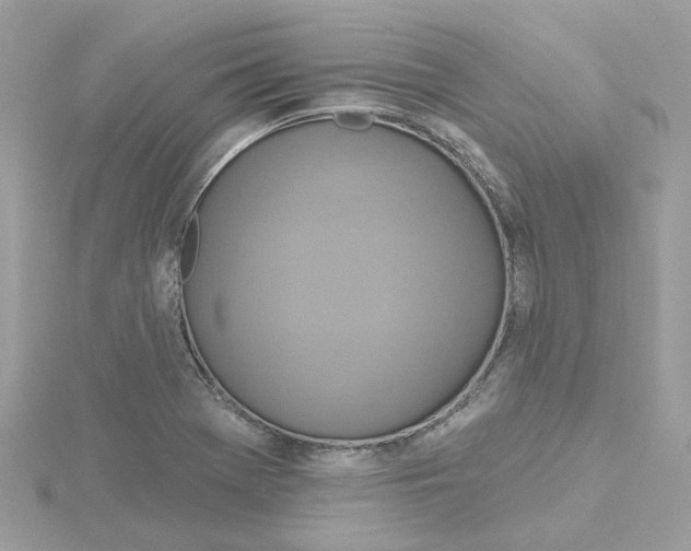 X0000115201369200911181500