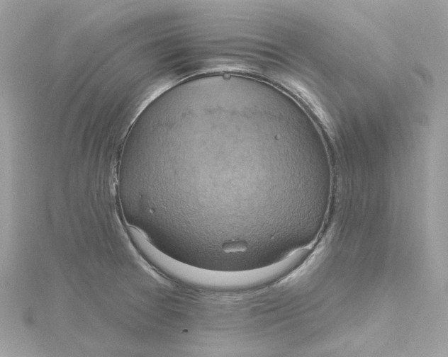 X0000115201377200911181500