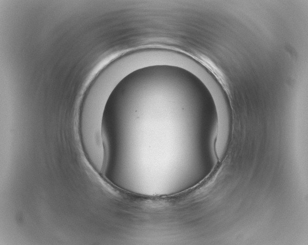 X0000115201384200911181500
