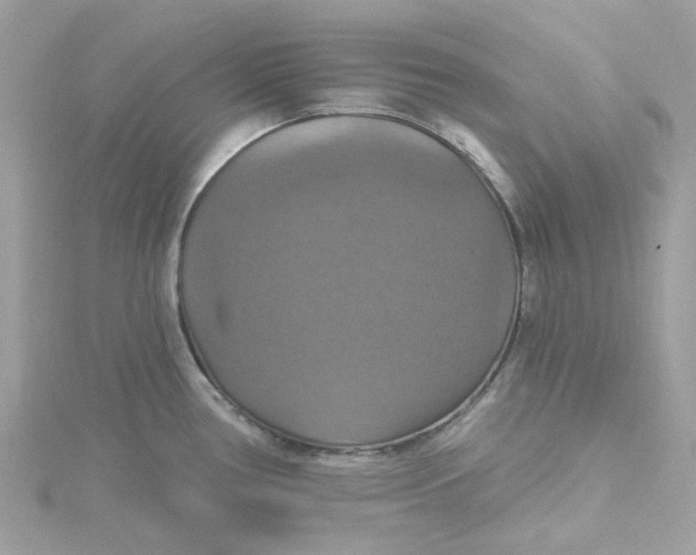 X0000115201386200911181459