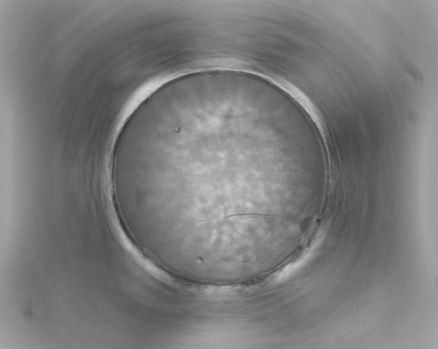 X0000115201389200911181459