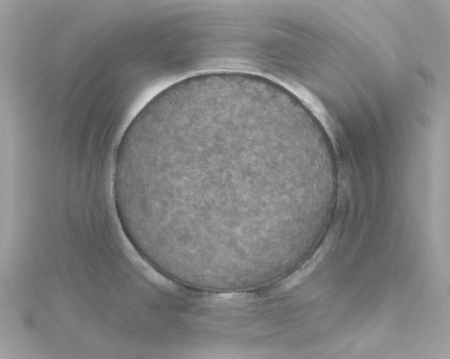 X0000115201390200911181459