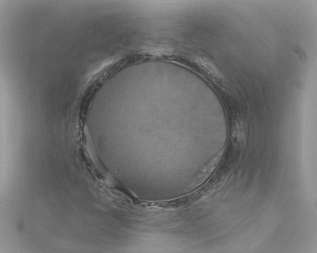 X0000115201398200911181459