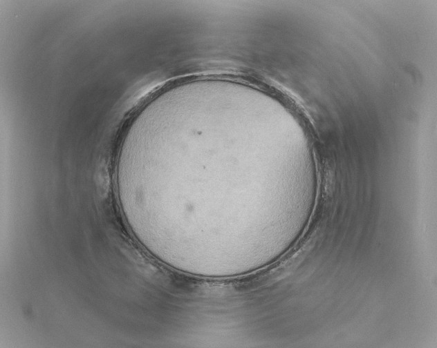 X0000115201407200911181459