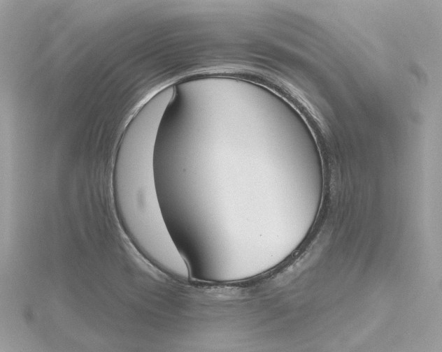 X0000115201417200911181459