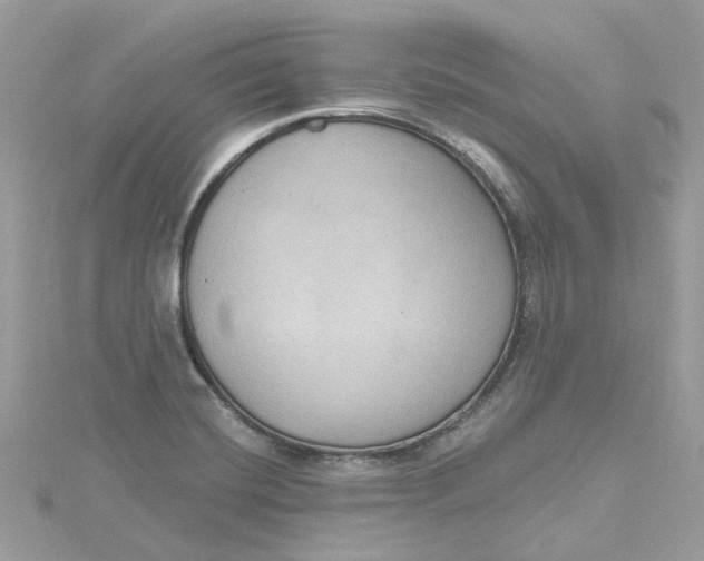X0000115201420200911181459