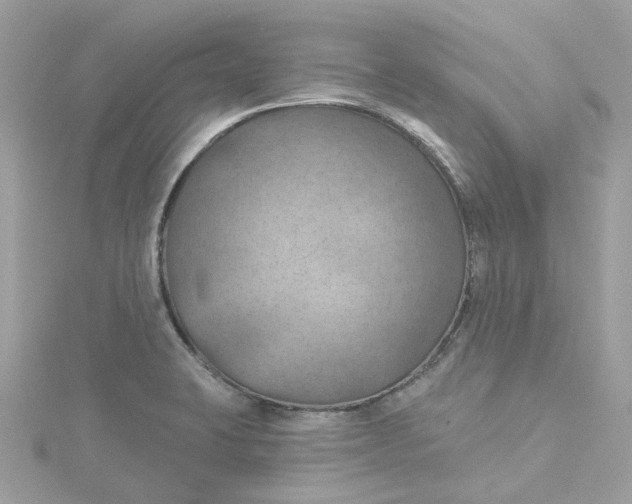 X0000115201423200911181459