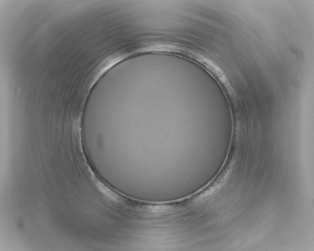 X0000115201425200911181459