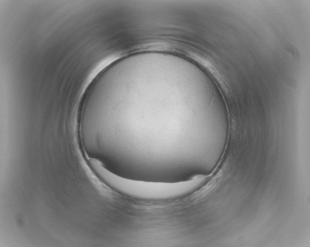 X0000115201426200911181459