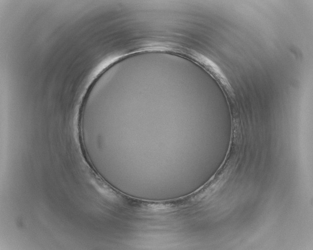 X0000115201427200911181459