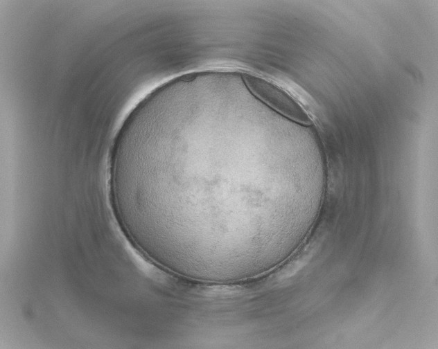 X0000115201430200911181459