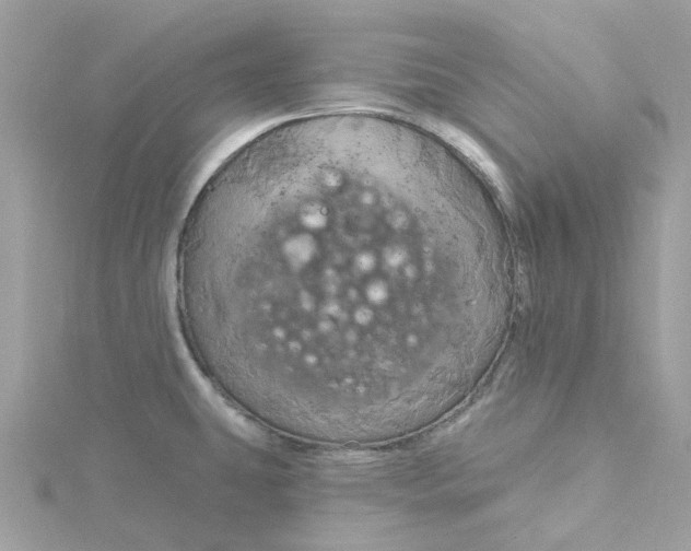 X0000115201431200911181459