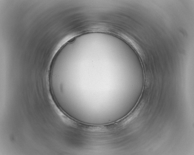X0000115201434200911181459